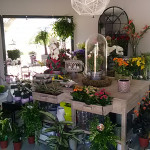 Fleuriste "De fil en Fleurs" à Fleurey sur Ouche (21) Fleuriste