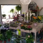 Fleuriste "De fil en Fleurs" à Fleurey sur Ouche (21) Fleuriste